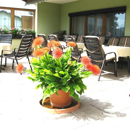 Gaestehaus Steininger Zwiesel Zewnętrze zdjęcie
